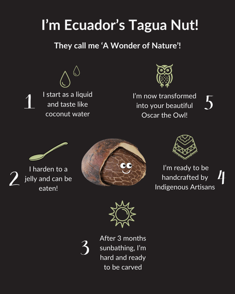 Oscar the Owl — Hand - carved Tagua Nut Figurine - The Happy Elephant - Tagua Jewellery