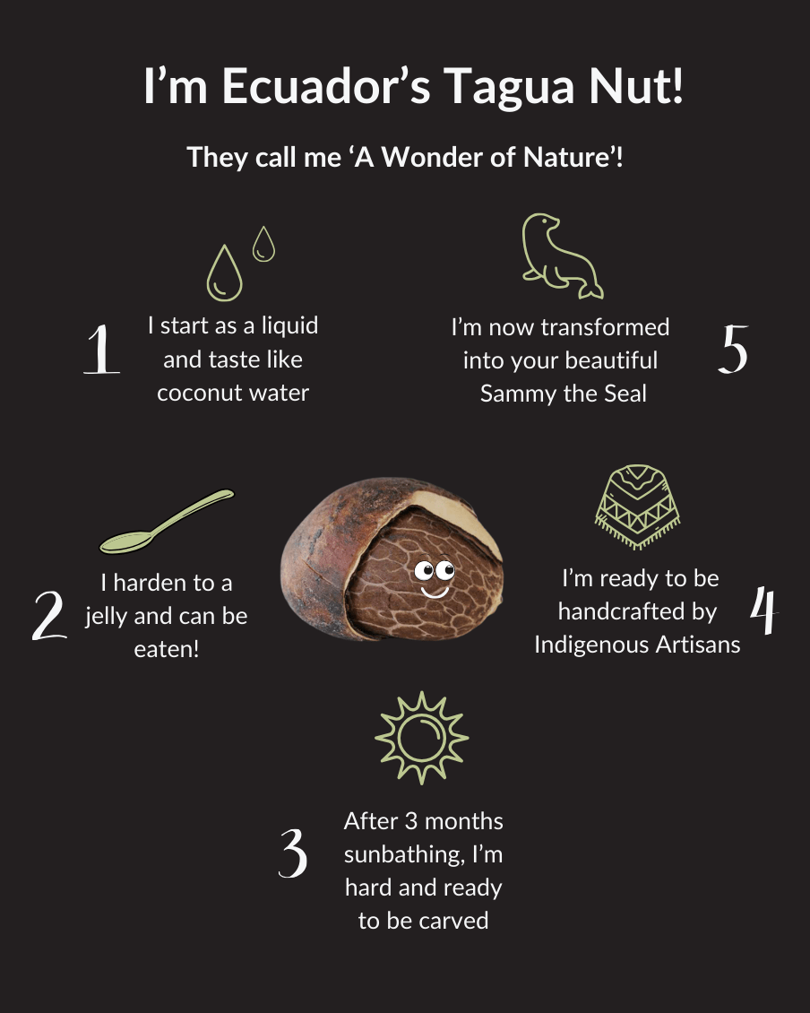 Sammy the Seal — Hand - carved Tagua Nut Figurine - The Happy Elephant - Tagua Jewellery