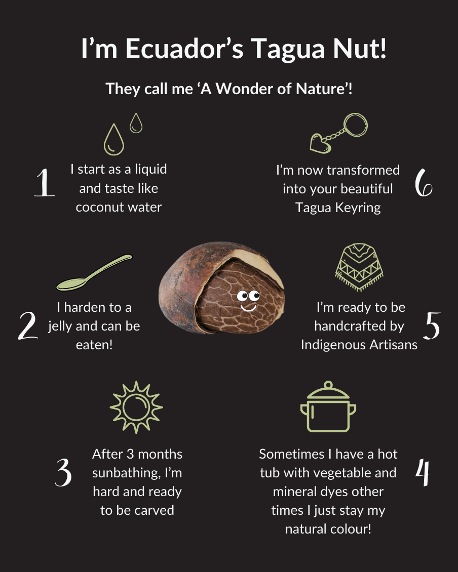 TAGUA KEYRINGS and BAG CHARMS - The Happy Elephant - Tagua Jewellery