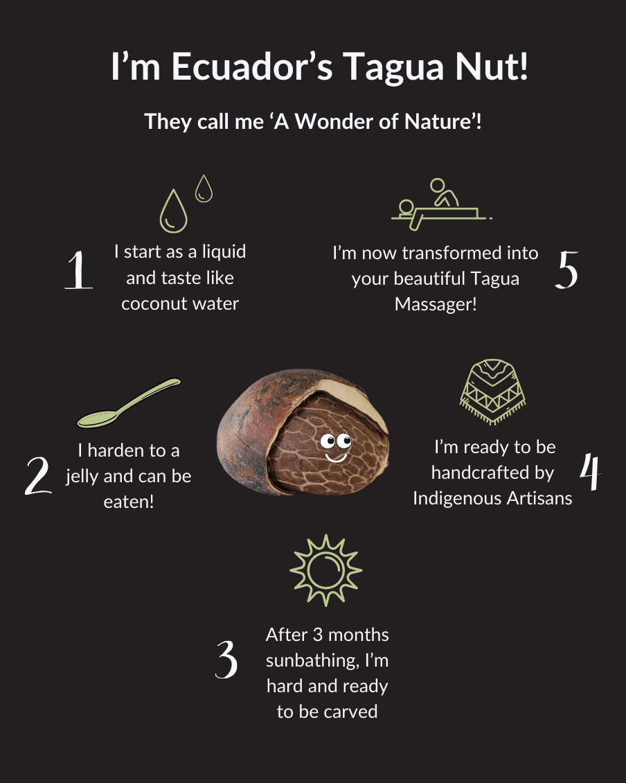 Tri - Tagua Muscle Relief Massager - The Happy Elephant - Tagua Jewellery