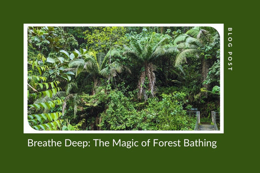 How Tagua Brings the Rainforest to You - The Happy Elephant - Tagua Jewellery