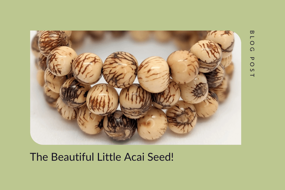 The Beautiful Little Açaí Seed - The Happy Elephant - Tagua Jewellery