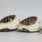Toby the Turtle — Hand - carved Tagua Nut Figurine - The Happy Elephant - Tagua Jewellery