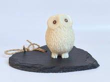 Load image into Gallery viewer, Oscar the Owl - The Happy Elephant - Tagua Jewellery

