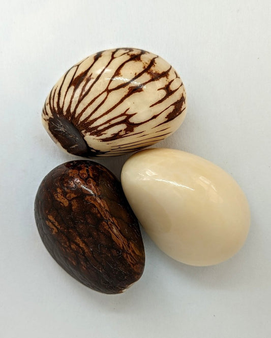 Tagua Nuts - The Happy Elephant - Tagua Jewellery